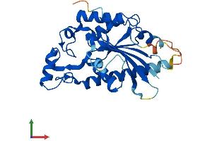 Protein Structure (PS) image for TP53 induced glycolysis regulatory phosphatase (TIGAR) (AA 1-270) protein (His tag) (ABIN7555807)