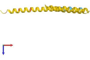 AlphaFold protein structure predicition of Human Recombinant FAM25G Protein, UniprotID B3EWG6