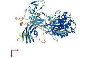 PKC eta Protein (AA 1-683) (His tag)