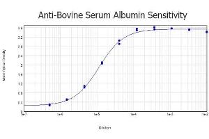 ELISA results of purified Rabbit anti-Bovine Serum Albumin Antibody tested against Bovine Serum Albumin.
