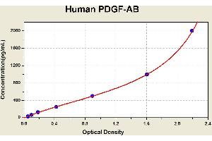 PDGF-AB Heterodimer ELISA Kit