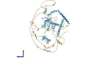 AlphaFold protein structure predicition of Human Recombinant SART1 Protein, UniprotID O43290 (SART1 Protein (AA 1-800) (His tag))