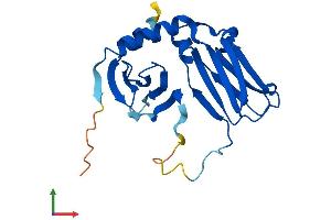 Protein Structure (PS) image for Deleted in Primary Ciliary Dyskinesia Homolog (DPCD) (AA 1-203) protein (His tag) (ABIN7558801)