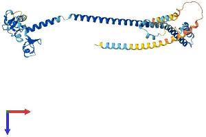 TRIM13 Protein (AA 1-407) (His tag)