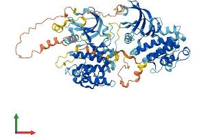AlphaFold protein structure predicition of Mouse Recombinant Rps6ka2 Protein, UniprotID Q9WUT3