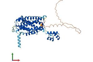 Protein Structure (PS) image for LAG1 Homolog, Ceramide Synthase 5 (LASS5) (AA 1-414) protein (His tag) (ABIN7561050)
