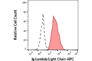 Separation of human Ig Lambda Light Chain positive B cells (red-filled) from human Ig Lambda Light Chain negative B cells (black-dashed) in flow cytometry analysis (surface staining) of human peripheral whole blood stained using anti-human Ig Lambda Light Chain (4C2) APC (10 μL reagent / 100 μL of peripheral whole blood). (Lambda-IgLC Antikörper  (APC))