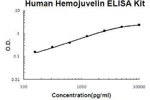 Human Hemojuvelin/RGM-C PicoKine ELISA Kit standard curve