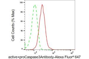 Flow cytometric analysis of active+proCaspase3Antibody expression in HT- cells using active+proCaspase3Antibody antibody (ABIN7797489), 1:2,000). (Rekombinanter Active+pro Caspase 3 Antikörper)