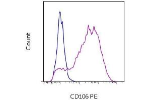 Flow Cytometry (FACS) image for anti-Vascular Cell Adhesion Molecule 1 (VCAM1) antibody (PE) (ABIN2144995) (VCAM1 Antikörper  (PE))