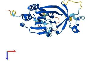 ADO Protein (AA 1-270) (His tag)