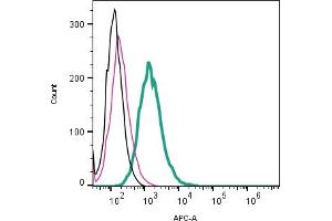 anti-Triggering Receptor Expressed On Myeloid Cells 2 (TREM2) (AA 42-56), (Extracellular) antibody (APC)
