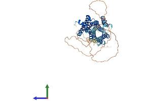 Protein Structure (PS) image for Histamine Receptor H1 (HRH1) (AA 1-487) protein (His tag) (ABIN7548322)