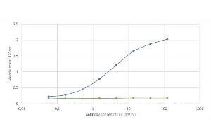 Binding curve of anti-CD155 antibody 3F1 (ABIN7072567) to recombinant mouse CD155 Fc-Fusion Protein. (Rekombinanter Poliovirus Receptor Antikörper)