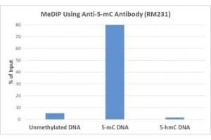 MeDIP was performed using recombinant 5mC antibody at a 2:1 DNA:Ab ratio.