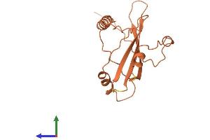 AlphaFold protein structure predicition of Human Recombinant LINC01551 Protein, UniprotID Q86U37