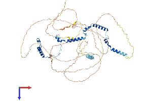 PHACTR2 Protein (AA 1-634) (His tag)