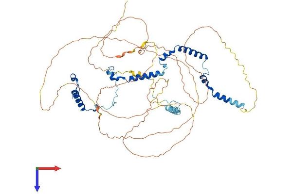 PHACTR2 Protein (AA 1-634) (His tag)