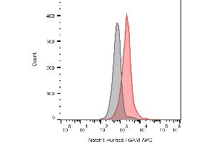 Separation of Jurkat cells stained using anti-Notch1 (mN1A) purified antibody (concentration in sample 16 μg/mL, GAM APC, red) from Jurkat cells unstained by primary antibody (GAM APC, black) in flow cytometry analysis (intracellular staining). (Notch1 Antikörper)