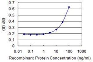 Detection limit for recombinant GST tagged NPY1R is 1 ng/ml as a capture antibody. (NPY1R Antikörper  (AA 1-384))