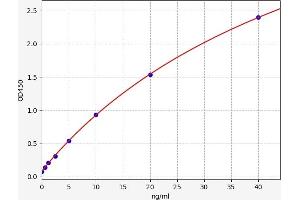 Profilin 2 (PFN2) ELISA Kit