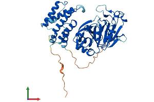 Protein Structure (PS) image for Jumonji Domain Containing 5 (JMJD5) (AA 1-416) protein (His tag) (ABIN7548780)