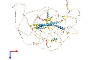 DACT1 Protein (AA 1-836) (His tag)