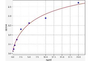 PRKAB1 ELISA Kit