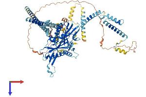 KIF9 Protein (AA 1-790) (His tag)