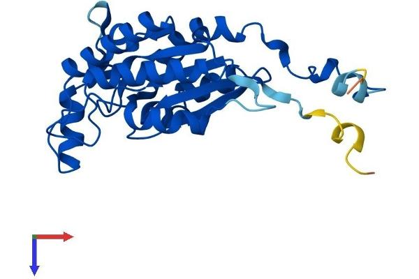 IAH1 Protein (AA 1-249) (His tag)