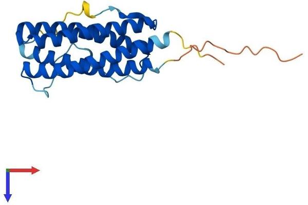 CNTF Protein (AA 1-200) (His tag)