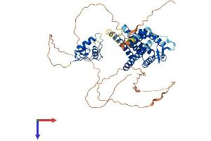 ESR2 Protein (AA 1-530) (His tag)