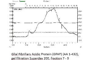 Image no. 1 for Glial Fibrillary Acidic Protein (GFAP) (AA 1-432) protein (Strep Tag) (ABIN3080596)