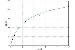 Adrenergic, beta-2-, Receptor, Surface (ADRB2) ELISA Kit
