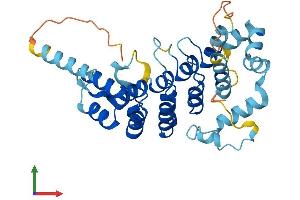 AlphaFold protein structure predicition of Human Recombinant ANKRD9 Protein, UniprotID Q96BM1 (ANKRD9 Protein (AA 1-317) (His tag))
