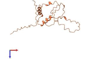 AlphaFold protein structure predicition of Human Recombinant NTM-AS1 Protein, UniprotID Q6ZSK4