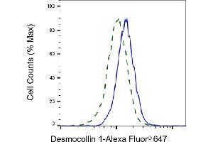 Validation of Desmocollin 1 knockdown using flow cytometry. (Rekombinanter Desmocollin 1 Antikörper)