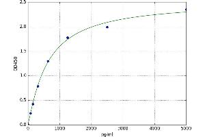 Myosin Heavy Chain ELISA Kit