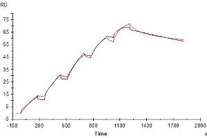 Surface Plasmon Resonance (SPR) image for Interleukin 17 Receptor A (IL17RA) (AA 33-320) protein (His tag) (ABIN7274223)