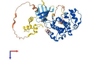 CDK18 Protein (AA 1-451) (His tag)