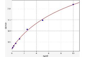 TLR9 ELISA Kit