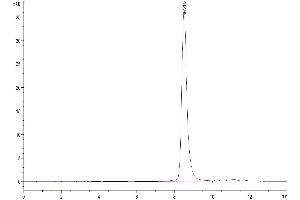Size-exclusion chromatography-High Pressure Liquid Chromatography (SEC-HPLC) image for Tumor Necrosis Factor Receptor Superfamily, Member 1A (TNFRSF1A) (AA 30-211) protein (His tag) (ABIN7275759)