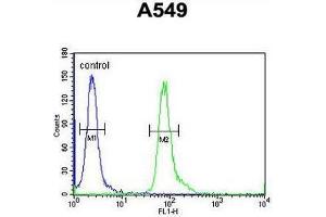 CT112 Antibody (Center) flow cytometric analysis of A549 cells (right histogram) compared to a negative control cell (left histogram).
