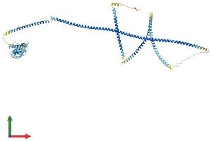 Protein Structure (PS) image for Hook Homolog 3 (HOOK3) (AA 1-718) protein (His tag) (ABIN7564434)