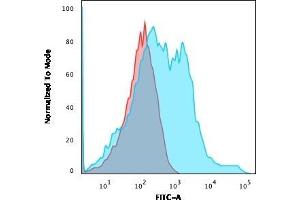 Flow Cytometric Analysis of HEK293 cells using Neurofilament Mouse Recombinant Monoclonal Antibody (rNF421) followed by goat anti-Mouse IgG-CF488 (Blue); Isotype control (Red). (Rekombinanter NEFH Antikörper)