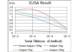Red: Control Antigen (100ng) ; Purple: Antigen (10ng) ; Green: Antigen (50ng) ; Blue: Antigen (100ng). (Lp(a) Antikörper  (AA 4330-4521))