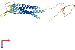 CACNG5 Protein (AA 1-275) (His tag)