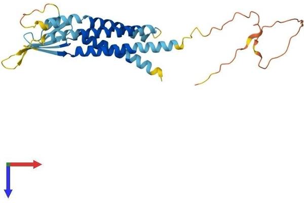 CACNG5 Protein (AA 1-275) (His tag)