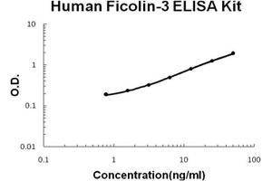 Human Ficolin-3 PicoKine ELISA Kit standard curve (FCN3 ELISA Kit)