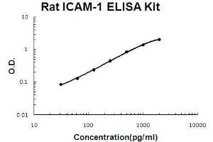 Rat ICAM-1 PicoKine ELISA Kit standard curve